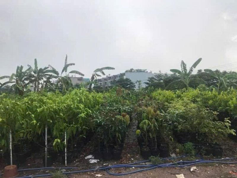 0.9Ha Đất đầu tư GD View sông  Phan Huy Ích Gò Vấp