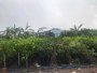 0.9Ha Đất đầu tư GD View sông  Phan Huy Ích Gò Vấp