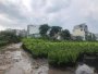0.9Ha Đất đầu tư GD View sông  Phan Huy Ích Gò Vấp