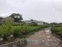 0.9Ha Đất đầu tư GD View sông  Phan Huy Ích Gò Vấp