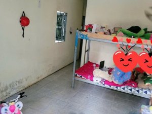 Nhà Vuông SHR HXH né 103m2  Lê Đức Thọ Gò Vấp