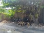 Đất Vuông SHR HXT né 120m2  Thạnh Lộc 29 Quận 12