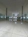 Nhà xưởng SHR Vuông HXH 175m2  Thạnh Xuân 39 Quận 12