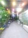 Nhà Vuông SHR 2 tầng HXT né 94m2  Thạnh Xuân 52 Quận 12