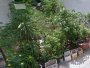 Đất Vuông SHR Đ.8m 126m2  Bình Lợi Bình Thạnh