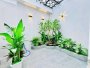 Nhà mới SHR 5 tầng HXH 75m2, Vuông  Thạnh Xuân 25 Quận 12