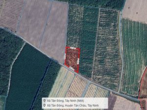 Đất 2.2 sào Mít SHR HXT  DT792 Tây Ninh
