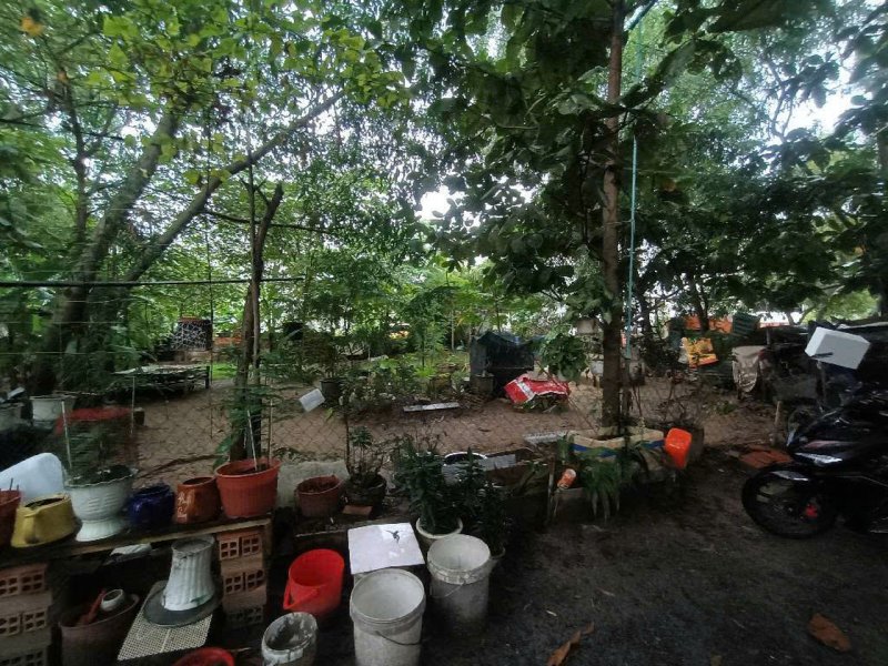 Đất Vuông SHR HXH 300m2  Tân Hiệp 4 Hóc Môn