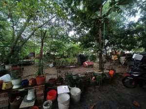 Đất Vuông SHR HXH 300m2  Tân Hiệp 4 Hóc Môn
