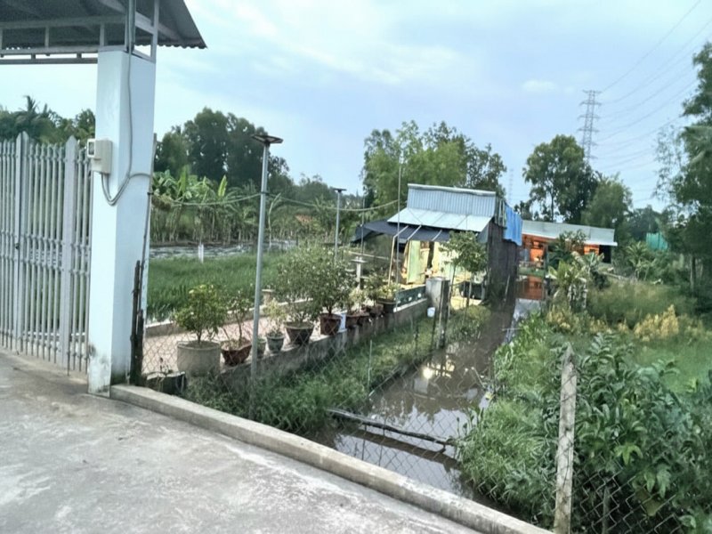 Đất Vuông SHR HXH 2798m2  Đông Thạnh 2 Hóc Môn