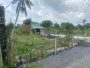 Đất Vuông SHR HXH 2798m2  Đông Thạnh 2 Hóc Môn