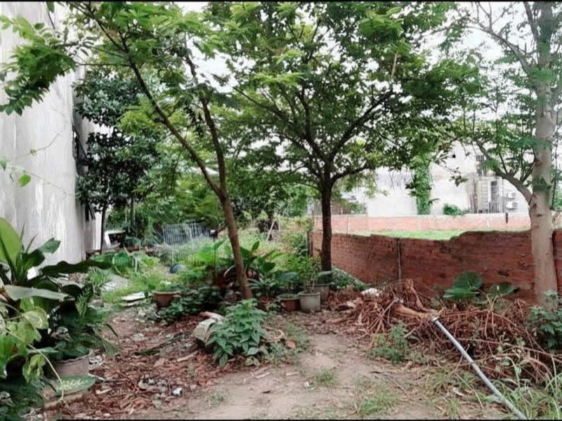 H1710  đất Nở hậu Lê Văn Khương Q12, 233m2, SHR, 7.x tỷ