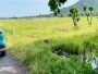 T1885  1873m2 đất Long Mỹ Bà Rịa - Vũng Tàu, SHR, HXH, 8.x tỷ