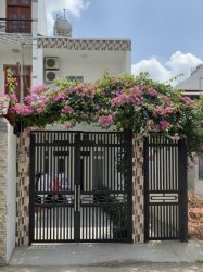 D1925  Giảm 100tr! nhà Mặt tiền Tân Thới Hiệp 9 Q12, SHR, Vuông, 4x25m, 6.x tỷ
