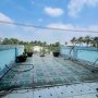[L2205] ĐÓN ĐẦU QUY HOẠCH Đ. 30M - NHÀ 4T AN PHÚ ĐÔNG