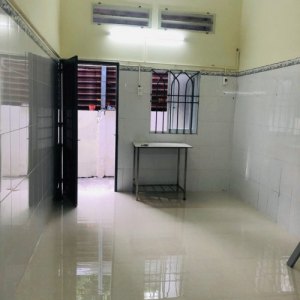 T2256 | SIÊU PHẨM GÒ VẤP - NGANG 6M - GIÁ NGỘP
