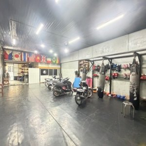 K2269 MT KD GIÁ CHỈ BẰNG HẺM - 290M2