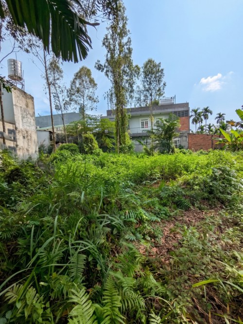 [D2284] KHUÔN ĐẤT VÀNG hậu nở THẠNH XUÂN 52 - CHỈ 9.X TỶ CHIẾM TRỌN 460M2