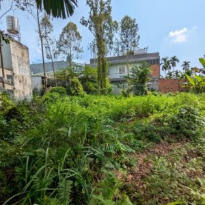 [D2284] KHUÔN ĐẤT VÀNG hậu nở THẠNH XUÂN 52 - CHỈ 9.X TỶ CHIẾM TRỌN 460M2