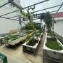 D2302 Nhà Phố Sàn Gỗ 4T Kế Vách Lotte Mart Gò Vấp bán gấp Giá 8.x Tỷ