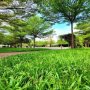 [D2344] Trú Ẩn Lạm Phát Với Căn Nhà 7PN Có Sẵn dòng tiền 40Tr/Tháng!