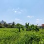 [K2353*] Quỹ Đất 15x43M Chuẩn Vàng Xây Tòa CHDV thu nhập Khủng Tại Q12!