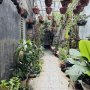 H2434 NỖI ĐAU ngộp ngân hàng? Chủ nợ OCB 2 tỷ cần bán gấp!