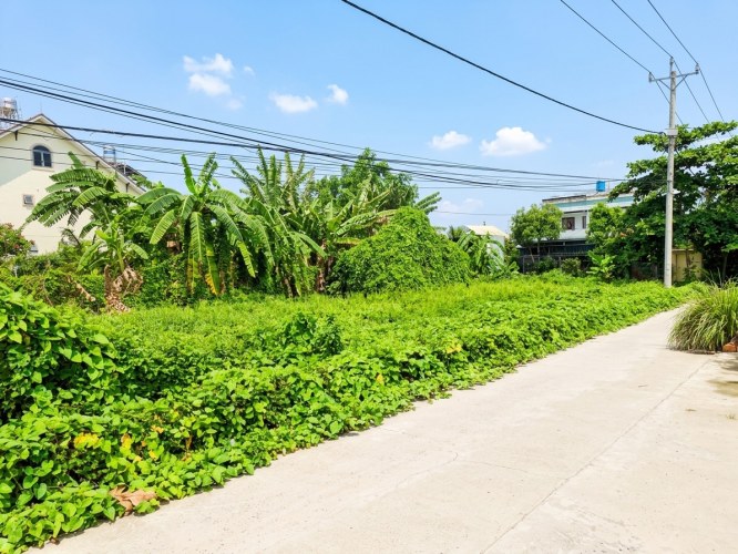 [O2510] lô đất vuông 800m2 Vườn Lài sát Senturia giá 37.x tỷ