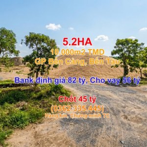 [D2535K*] CƠ HỘI VÀNG: 5.2HA ĐẤT QL91B CẦN THƠ VAY ĐƯỢC 56 TỶ, BÁN CHỈ 4X TỶ