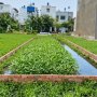 [K2580*] Cơ hội ĐTư! Đất trống 100m2 gần CĐ Điện Lực Quận 12, giá chỉ 2.x tỷ!