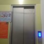 [L2593*] ĐTư GÀ ĐẺ TRỨNG VÀNG 50TR/TH NGUYÊN HỒNG - GIÁ 14.X TỶ
