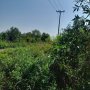 [T2645*] Đất ĐTư đại tài 11208m2 sát Vành Đai 3 Hóc Môn, 78.x tỷ
