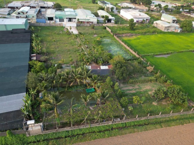 [H2644*] Đất làm nhà xưởng phân lô MT Xuân Thới Sơn 6 Hóc Môn, 5x tỷ