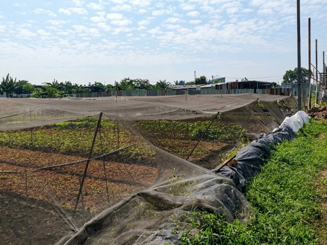 [K2658*] So với khu vực, 3710m2 đất Bà Điểm gần Khu CN Vĩnh Lộc giá quá rẻ, 29.x tỷ