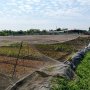 [K2658*] So với khu vực, 3710m2 đất Bà Điểm gần Khu CN Vĩnh Lộc giá quá rẻ, 29.x tỷ