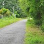 [H2679*] SO SÁNH GIÁ ĐẤT LÀM NHÀ VƯỜN THÁI MỸ CỦ CHI - GIÁ 7.x TỶ