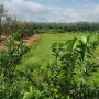 [L2682*] hàng hiếm 1.8Ha Đất Truông Mít giá mềm Hơn Thị Trường - Chỉ 5.x Tỷ