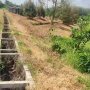 [L2682*] hàng hiếm 1.8Ha Đất Truông Mít giá mềm Hơn Thị Trường - Chỉ 5.x Tỷ