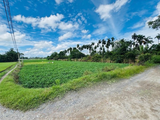[D2707] Đất trống 4819m2 mặt tiền view sông Thạnh Xuân - Giá 2x tỷ