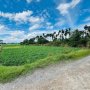 [D2707] Đất trống 4819m2 mặt tiền view sông Thạnh Xuân - Giá 2x tỷ