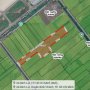 [D2731*] QUỸ ĐẤT KHỦNG 2HA BÌNH LỢI sát khu công nghiệp HẢI SƠN - 4x TỶ