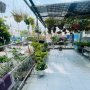 T2815 | Hiếm! mặt tiền 2 mặt thoáng 4T gần Cầu An Lộc - 21.x tỷ