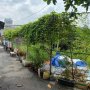 [H5897] Bán đất 2 mặt tiền HXH sát Cầu Bến Phân - Giá 3.x tỷ