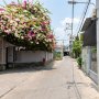 [DB107*] Đất Ngang 8m gần Chợ Lạc Quang thu nhập 50Tr 22.x Tỷ
