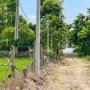O2919* Quỹ Đất SKC 9017m2 sát Ngã Ba Giòng Giá 22.x Tỷ