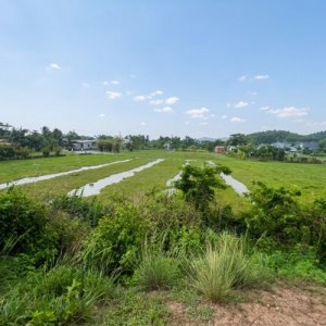 L2977* ĐẤT mặt tiền Đường 6M THÔNG NHUẬN ĐỨC CỦ CHI - GIÁ 10.X TỶ