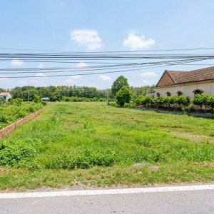 T2981 Đất Làm Nhà Vườn Đỉnh mặt tiền Đỗ Đăng Tuyển An Nhơn Tây Giá 18.x Tỷ