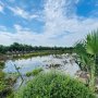O2978* HIẾM! 3HA ĐẤT Đường Ô TÔ NGUYỄN THỊ NÁO, CỦ CHI - 5x TỶ