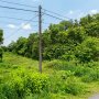 [T2975*] Lô Đất 675m2 lô đất vuông 1/ Đ. 500 Nhuận Đức sát Đường Bà Thiên, Giá 2.x Tỷ