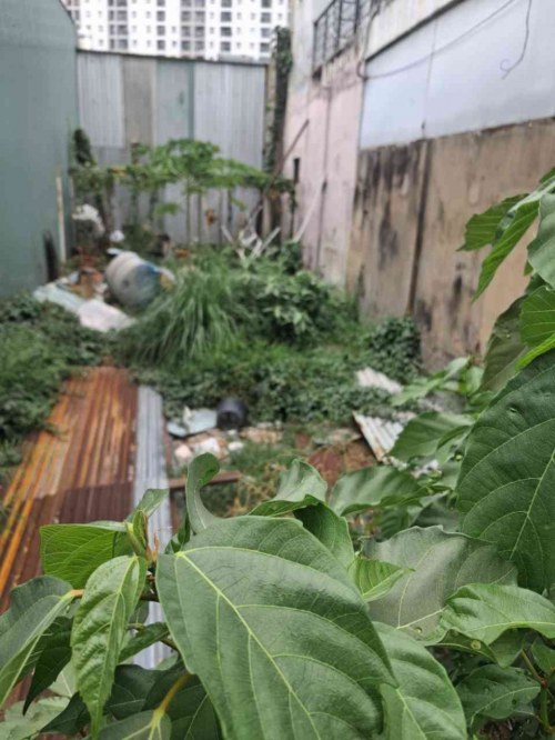 [DP140*] Hiếm! Đất MT 86m2 nở hậu cạnh Chợ Lạc Quang Giá 8.x Tỷ